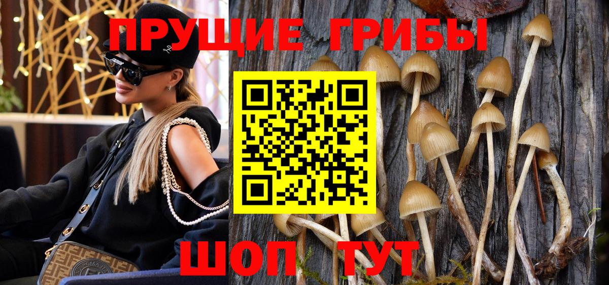 Волгоград  Галлюциногенные грибы GOLDEN TEACHER  Вход с VPN 